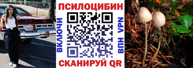 Галлюциногенные грибы Cubensis  Белоусово 